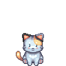 A white calico cat