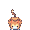 Tofu playing