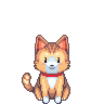 A ginger cat with a red collar